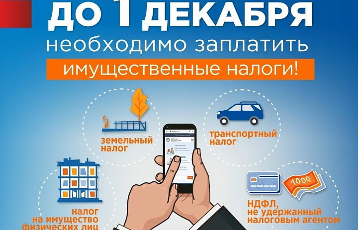 Вовремя и без ошибок: успейте заплатить налоги до 1 декабря и разобраться во всех нюансах!